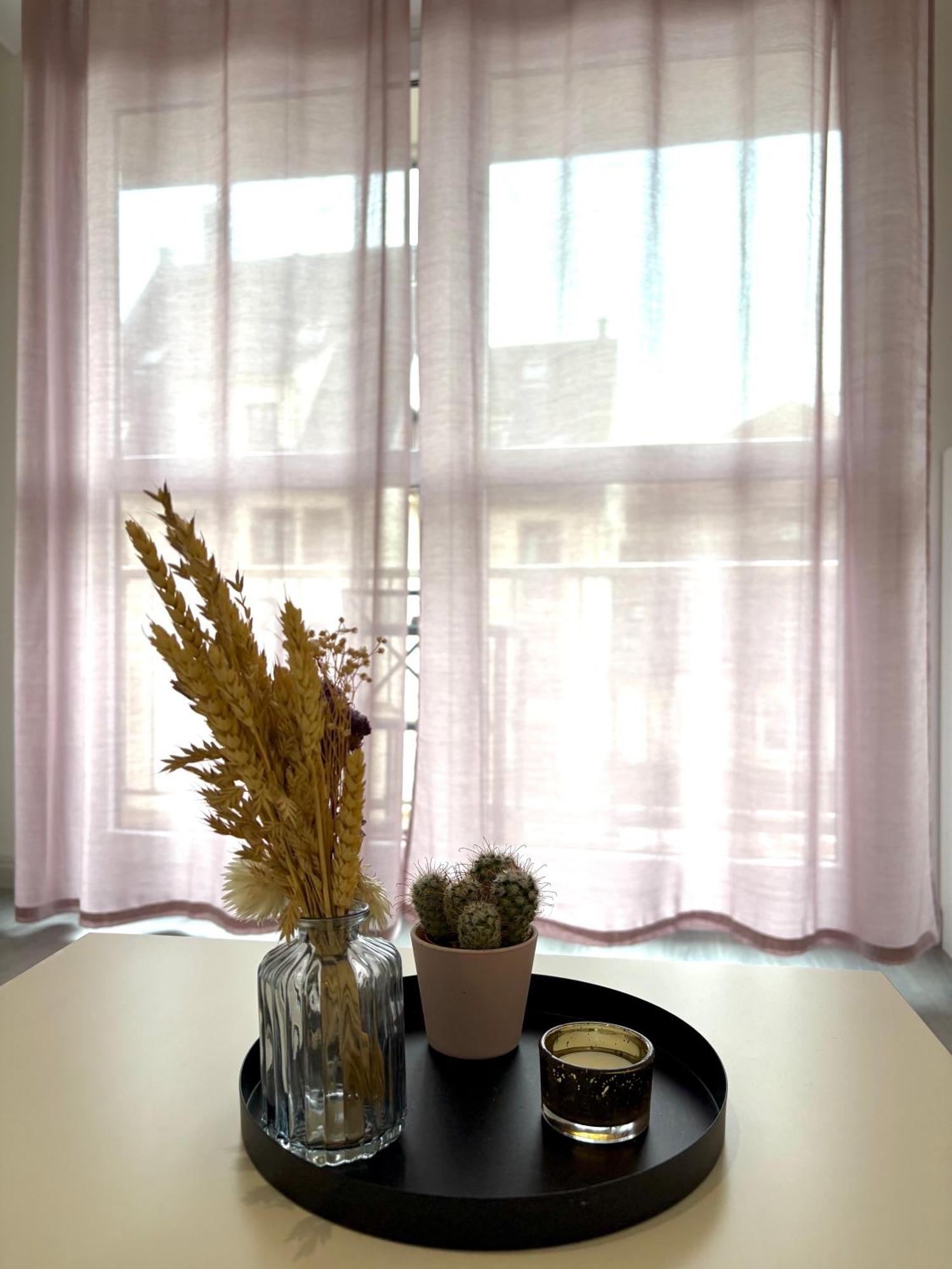 Joli Studio Dans L'Ancien Quartier De Cronenbourg 스트라스부르 외부 사진